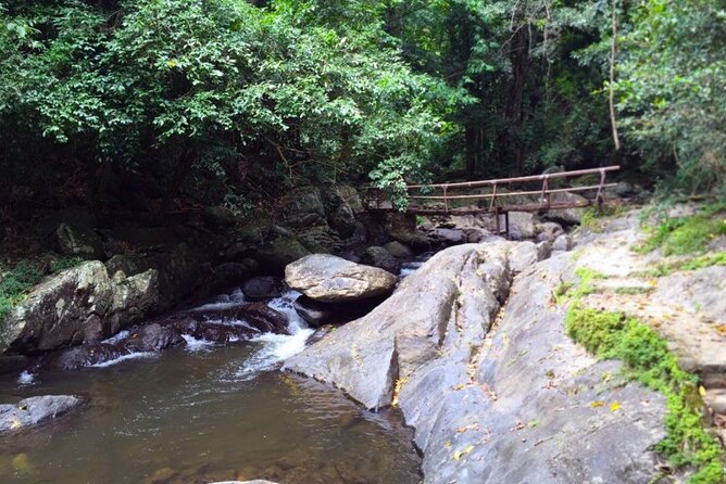Small-Group Pala U Waterfall Jungle Tour from Hua Hin - Value check: what $74.51 really covers