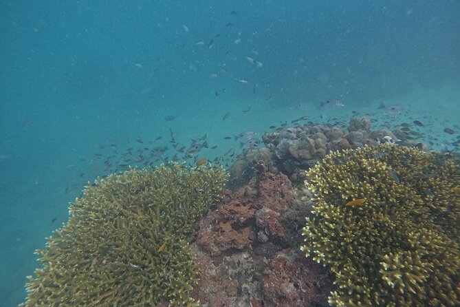 Small Group Phi Phi Islands Sunrise Tour with Seaview Lunch - Stop 4: Phi Phi Holiday Resort for seaview buffet lunch
