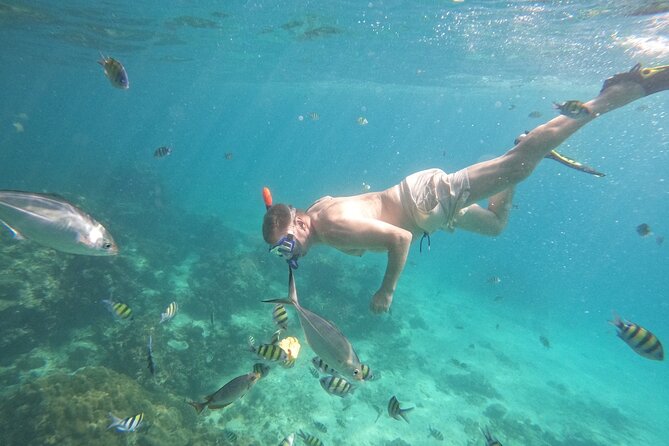 Small Group Phi Phi Islands Sunrise Tour with Seaview Lunch - Getting from Phuket to the water without drama