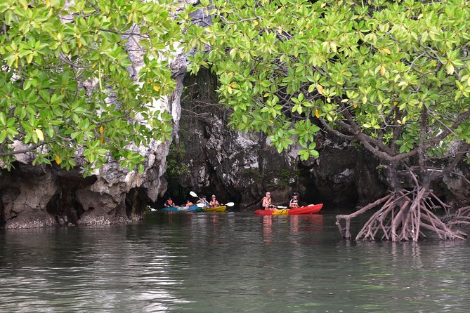 Small-Group Sea Kayaking in Ao Thalane Bay and Hong Island from Krabi - Sea kayaking in Ao Thalane Bay: mangroves, lagoons, and real wildlife time