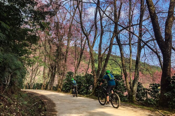 Smoke on the Water Trail Mountain Biking Tour Chiang Mai - Waterfall time: a break that resets your energy