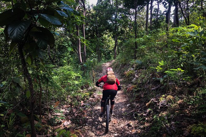 Smoke on the Water Trail Mountain Biking Tour Chiang Mai - Price and value: why $114.03 can make sense here