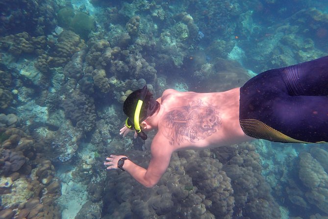 Snorkel Adventure Sea Tour to Koh Rok and Koh Haa from Koh Lanta - Who this Koh Rok and Koh Haa trip is best for