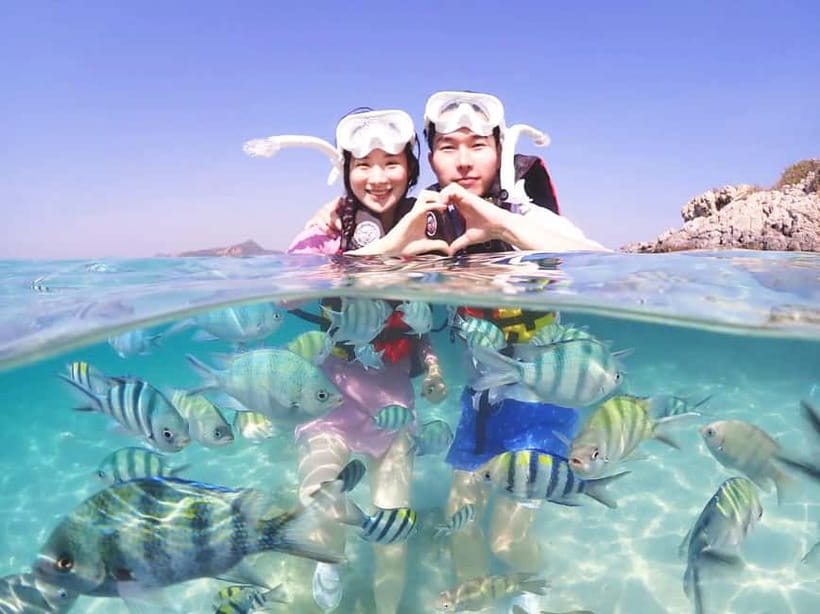 Snorkel & Chill: Nemo Island Trip from Pattaya - Key points worth knowing before you go