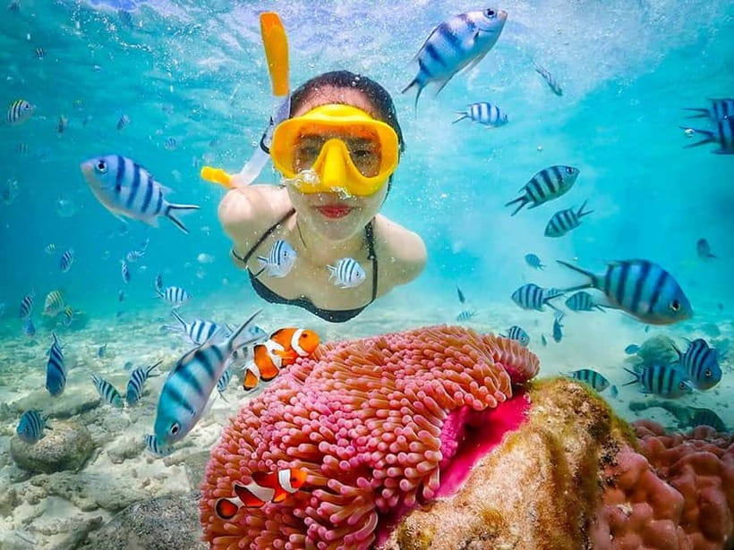 Snorkel & Chill: Nemo Island Trip from Pattaya - Why this Nemo Island trip feels different from typical Pattaya snorkel days