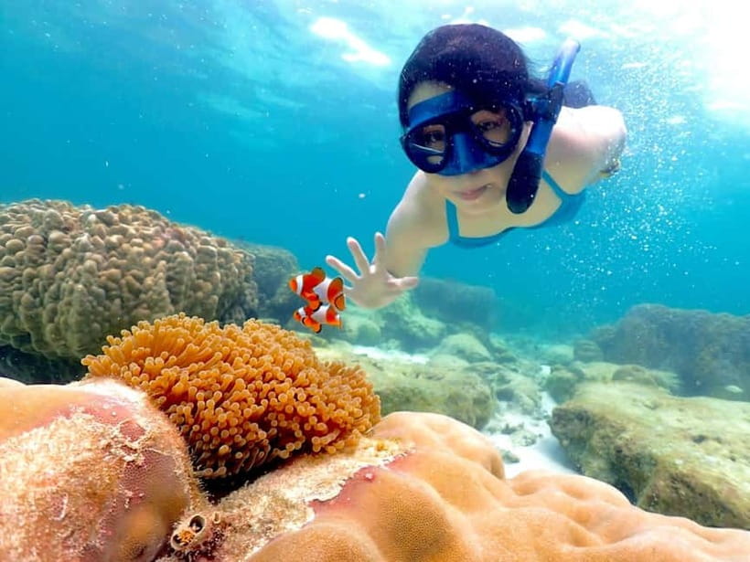 Snorkel & Chill: Nemo Island Trip from Pattaya - Samesan and the 2 to 3 snorkeling plan: how the day really works in the water