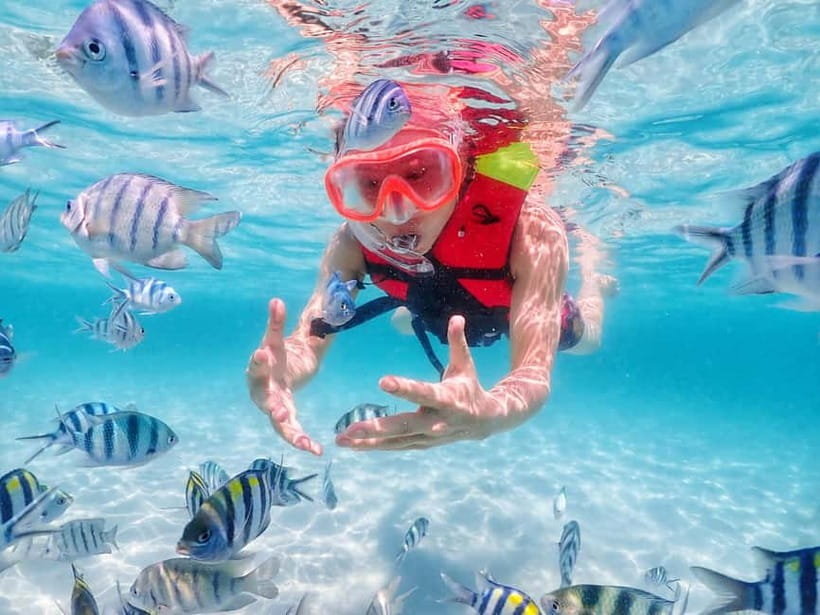 Snorkel & Chill: Nemo Island Trip from Pattaya - Samesan, clownfish Nemo, and the reality of reef conditions