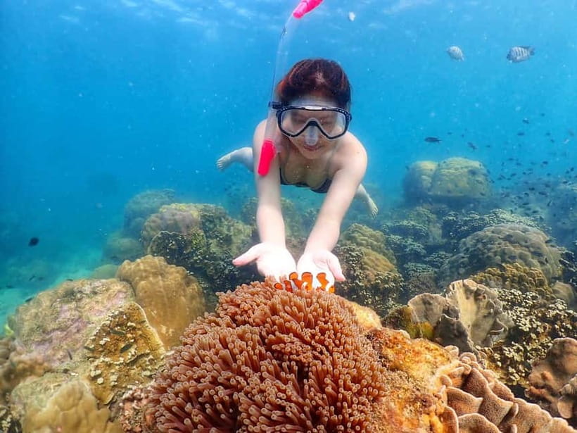 Snorkel & Chill: Nemo Island Trip from Pattaya - Safety and fitness notes: who should book, and who should skip