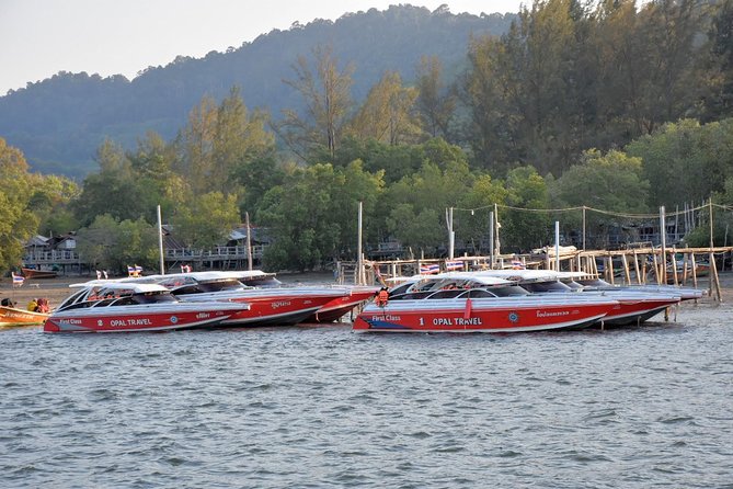 Snorkel Tour to Phi Phi Islands by Speed Boat from Koh Lanta - Viking Cave and Viking Bay: first reef time on Phi Phi Leh