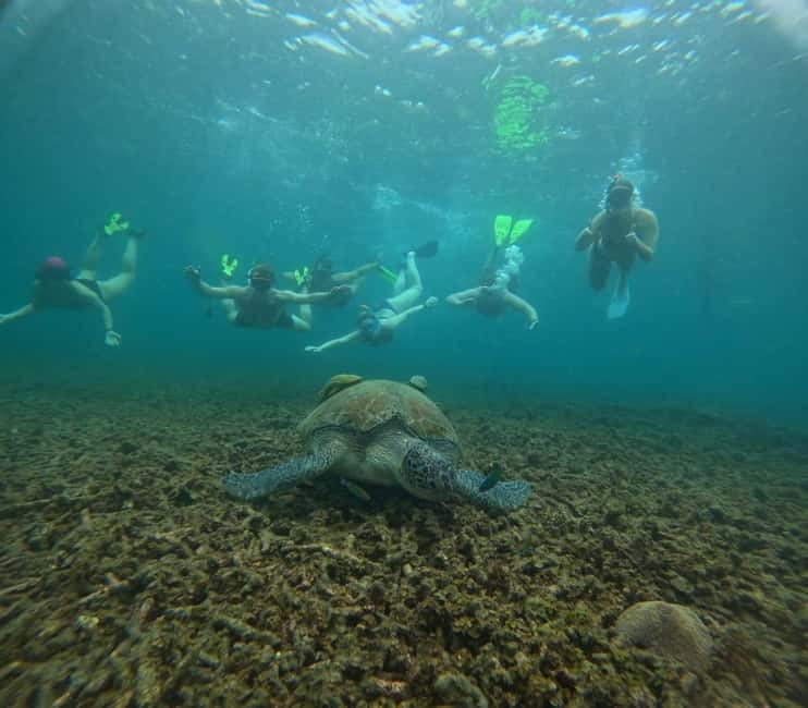 Snorkeling Tour with meals and BBQs - Cocktail - Sunset⭐⭐⭐⭐⭐ - Why this Koh Tao snorkeling feels like a private day at sea
