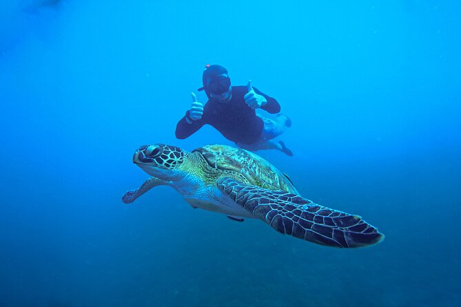 Snorkelling Trip 5 Island Tour Around Koh Tao and Koh Nang yuan - Mango Bay break plus Thai lunch on board