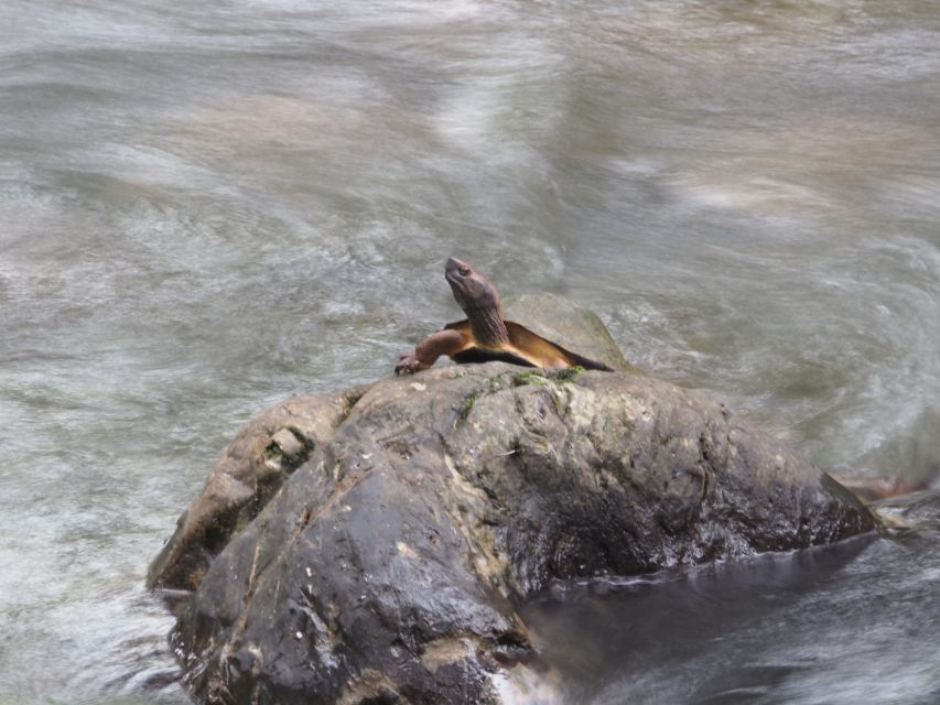Sok River: Bamboo Raft Ride, Monkey Temple & View Point Tour - Guides and drivers: why the best part is often the storytelling