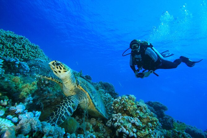 SSI | Padi Open Water Course in Phuket - What You Really Get From This Phuket Open Water Course in 3 Days