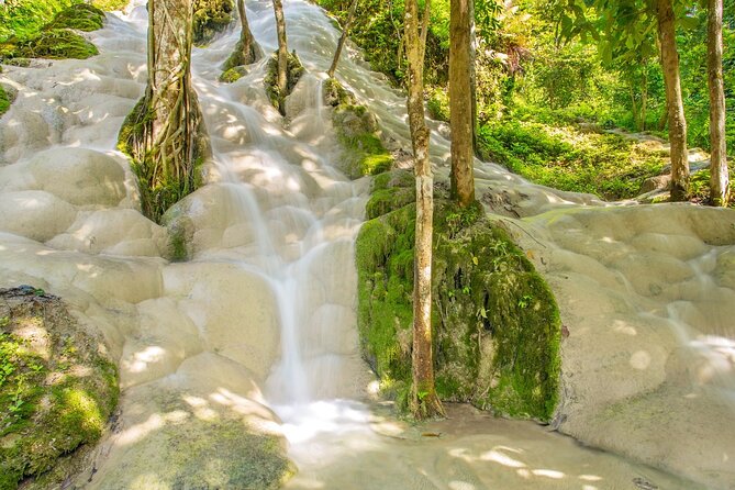 Sticky Waterfall Chiang Mai and Mae Ngat Boat Tour - Who should book, and what to plan for (language, meals, and wet rocks)