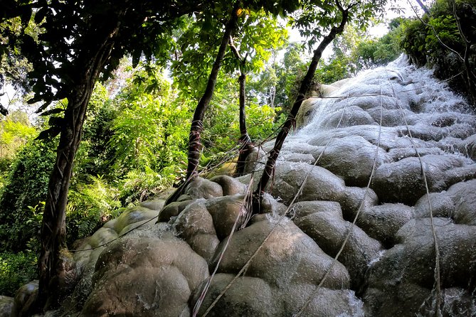 Sticky Waterfall Cycling Tour - Key highlights at a glance
