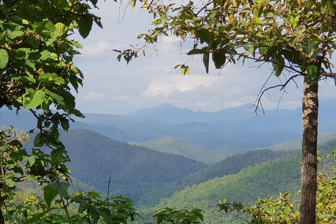 Sticky Waterfall Cycling Tour - The Cycling Part: Hills, Forest Tracks, and a Cave With Bats