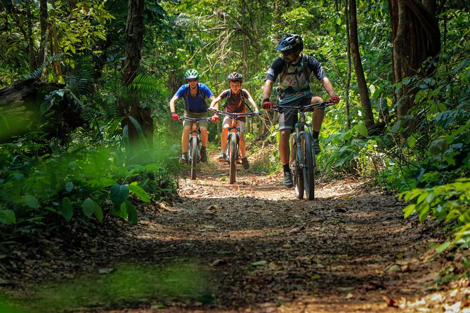 Sticky Waterfall Cycling Tour - Food and Breaks: Lunch at the End, Snacks All Along the Way
