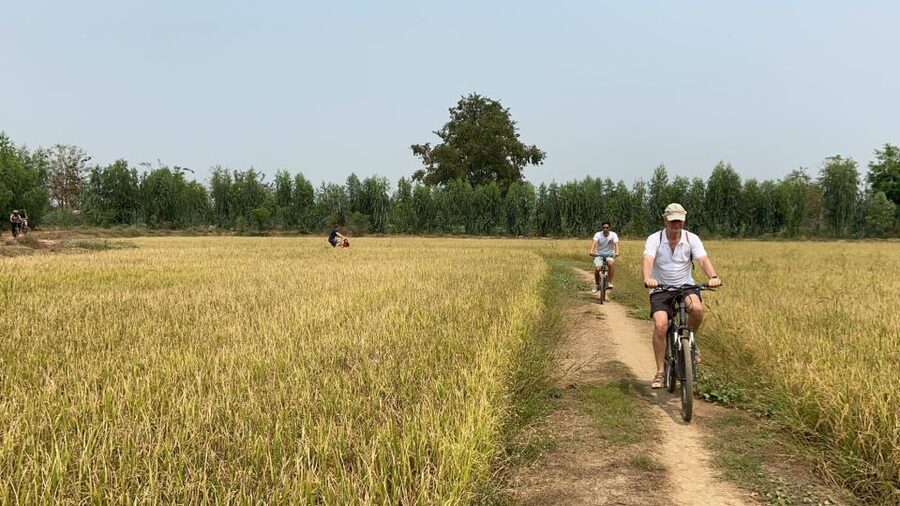 Sukhothai: Half-Day Countryside Bike Tour - Who should book this tour, and who should skip it