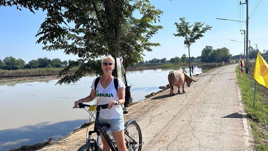 Sukhothai: Half-Day Countryside Bike Tour - Ban Khuai and local greetings: how the culture part actually works