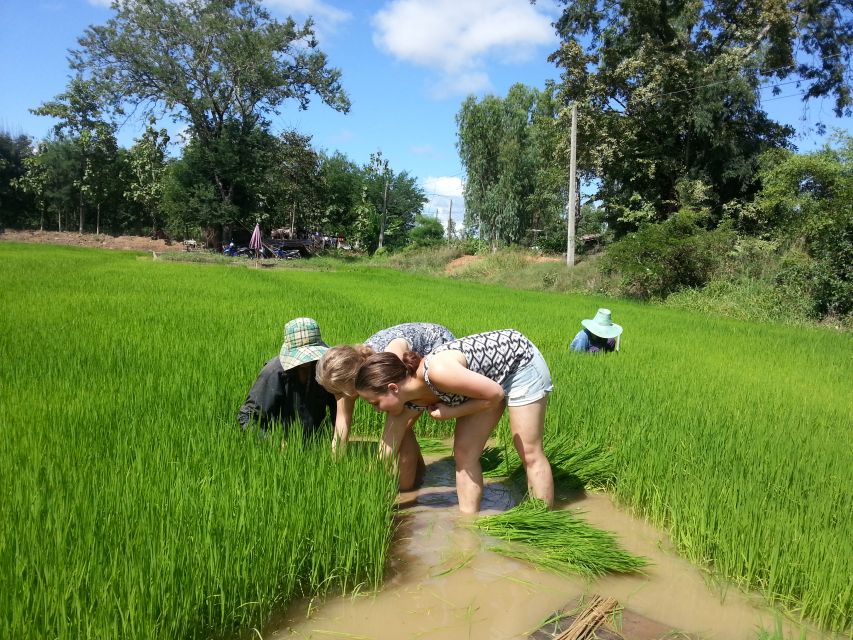 Sukhothai: Half-Day Countryside Bike Tour - Canal riding and the wood furniture workshop