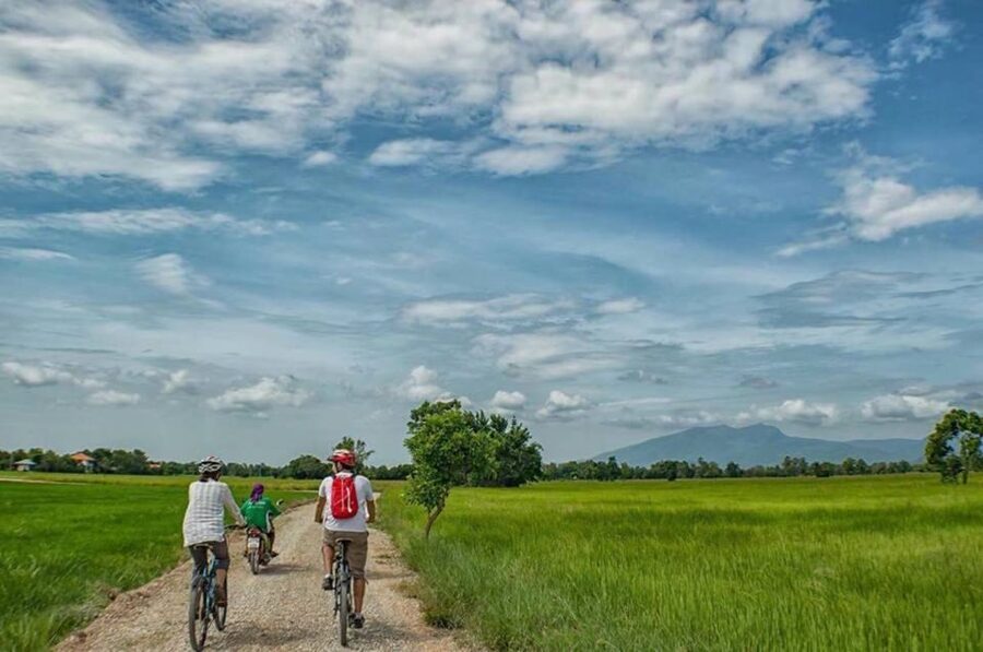 Sukhothai: Half-Day Countryside Bike Tour - Rice paddies, the dirt road, and rural pace