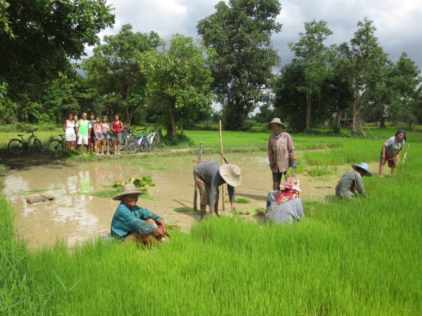 Sukhothai: Half-Day Countryside Bike Tour - Rice whiskey tasting: optional, but memorable