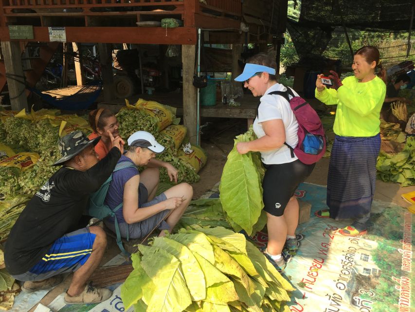 Sukhothai: Half-Day Countryside Bike Tour - Lunch, snacks, and staying fueled in the heat