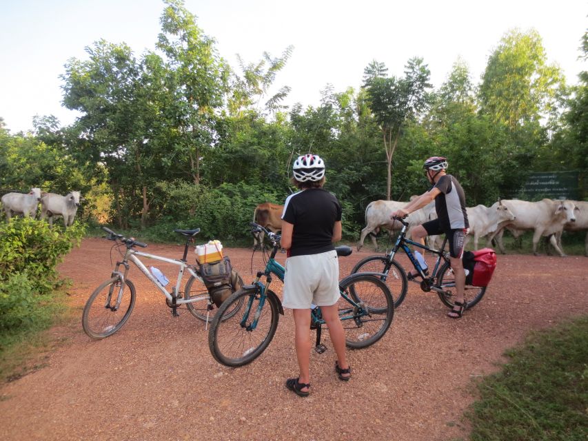 Sukhothai: Historical Park & Countryside Cycling Tour - Why a 7-Hour Bike Day Works Better Than Walking in Sukhothai