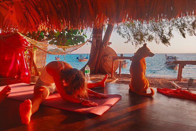 Sunrise yoga class overlooking the beach, the sea & sunrise . - Key highlights I’d bookmark