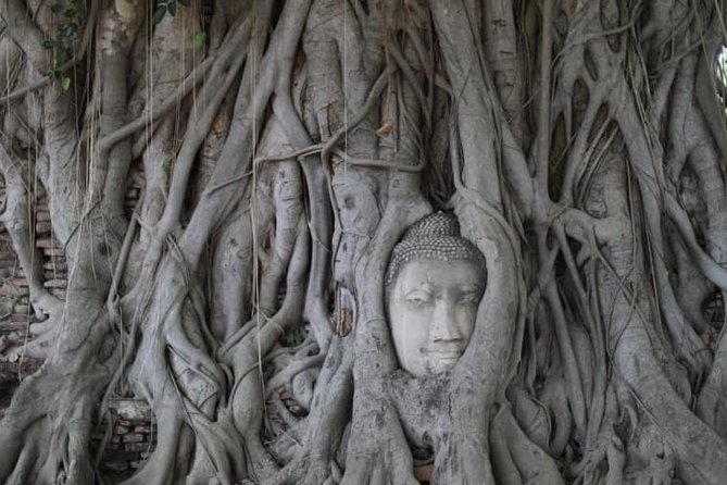 Sunset Sail, Glittering Tempels at Afternoon Ayutthaya Tours - Wat Mahathat, the Buddha head in tree roots moment