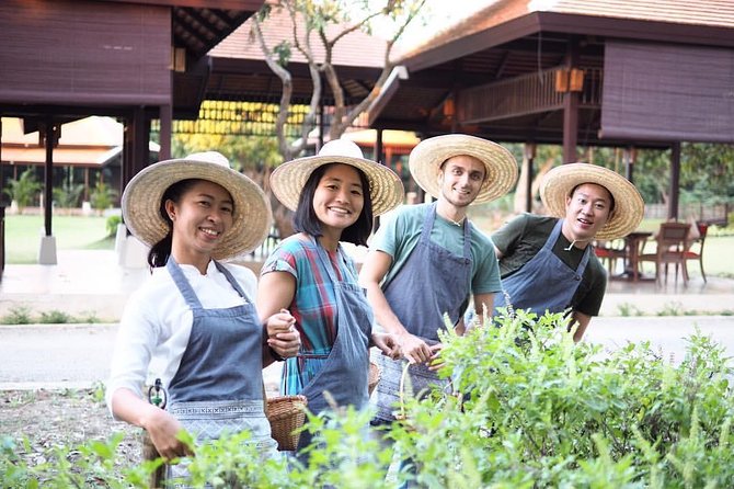 Sunset Thai Cooking with Grandma - Farm & Evening Feast - Sunset in Chiang Mai: why this class hits different