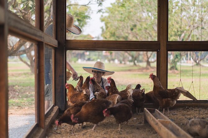 Sunset Thai Cooking with Grandma - Farm & Evening Feast - What the farm teaches you about Thai flavor