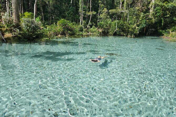 Surin Islands Snorkel Tour by SeaStar Andaman from Khao Lak - Snorkeling the Surin reefs: three stops with staff support