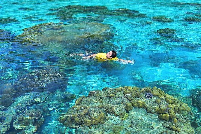 Surin Islands Snorkeling Day Trip By Love Andaman From Khao Lak - Jungle-fringed islands, viewpoints, and quiet beaches