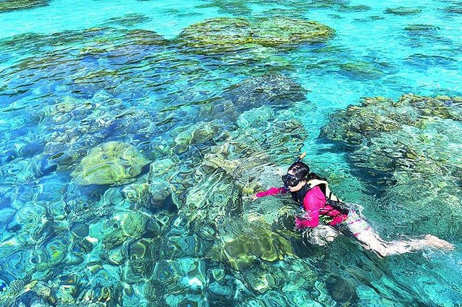 Surin Islands Snorkeling Day Trip By Love Andaman From Khao Lak - Food and pacing: what you are actually eating and when