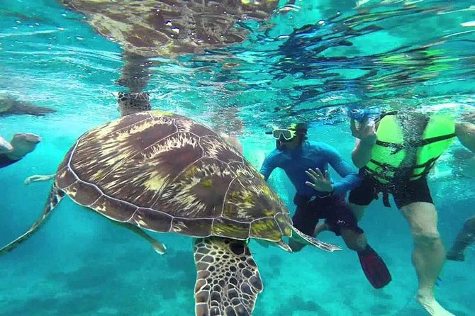 Surin Islands Snorkeling Trip from Phuket - Seastar check-in: where you get geared up