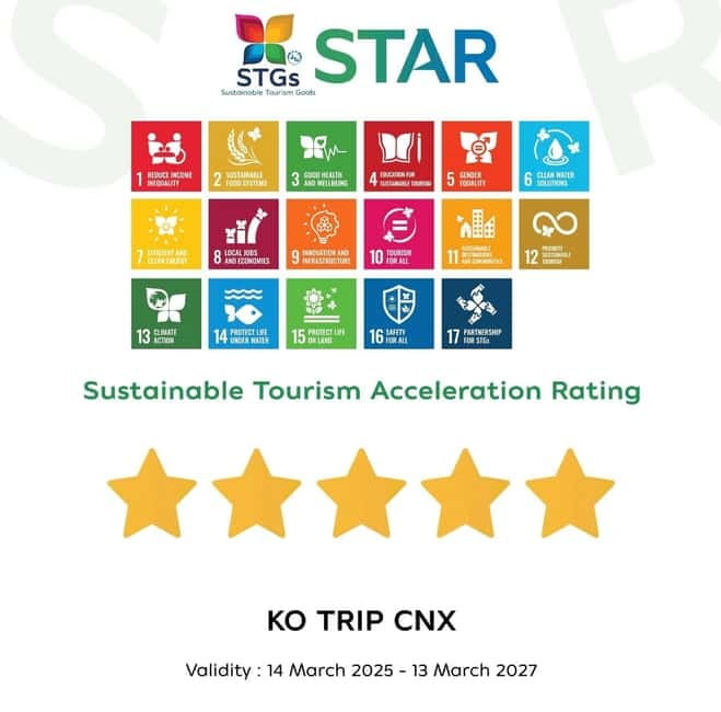 Taste of Chiang Mai: Michelin Guide & Street Food Tour - Is $31 good value for Michelin in Chiang Mai?