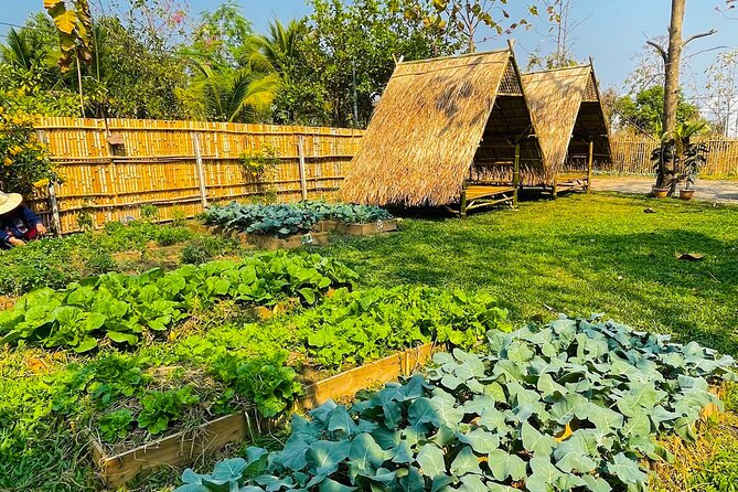 Team Aim Thai Cooking School (#1 Cooking Class in Chiang Mai) - Spice control and dietary options that feel real