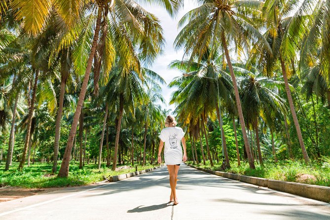 Thai Intro - So, should you book Thai Intro?