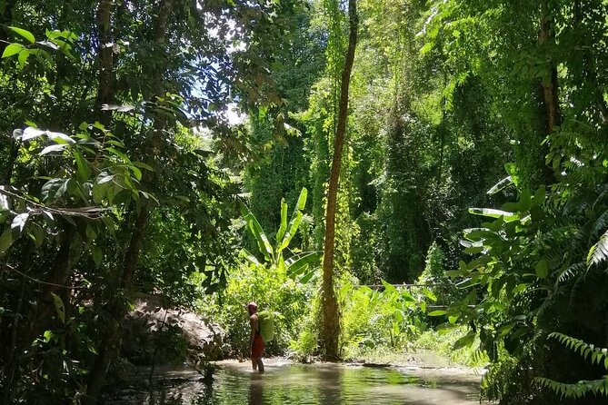 The Best Full Day Tour: Doi Suthep, Wat Phalat, Sticky Waterfall - Price and value: why $48.67 can make sense for a full-day Chiang Mai mix