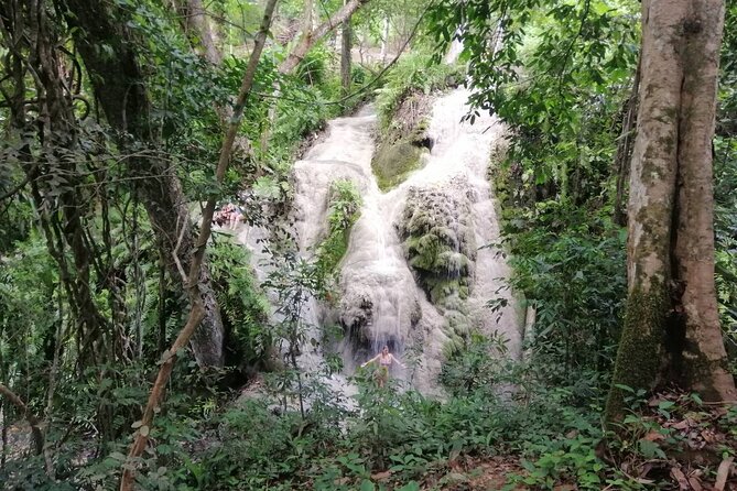 The Best Full Day Tour: Doi Suthep, Wat Phalat, Sticky Waterfall - Who should book this tour, and who might prefer something else