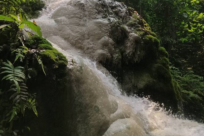 The Best Full Day Tour: Doi Suthep, Wat Phalat, Sticky Waterfall - Should you book the Doi Suthep, Wat Pha Lat, Sticky Waterfall tour?