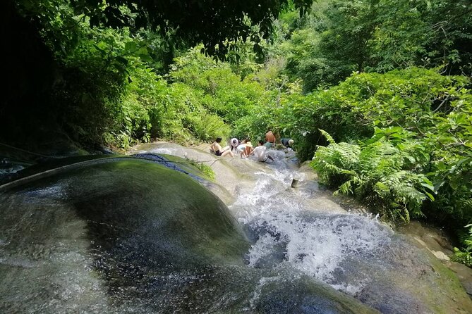 The Best Full Day Tour: Doi Suthep, Wat Phalat, Sticky Waterfall - Bua Tong Sticky Waterfall: climb, shower, and plan for slippery limestone