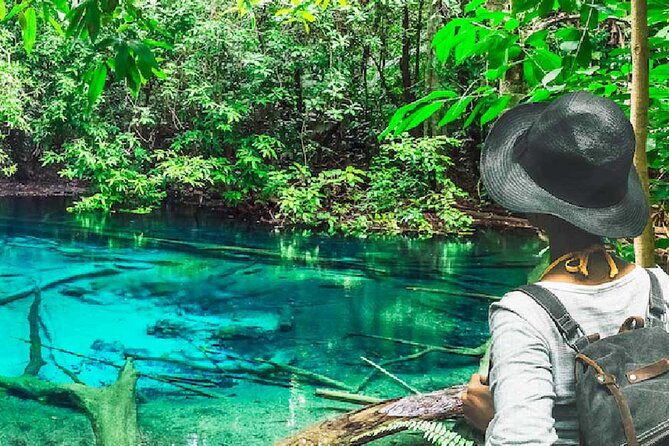 Tiger Cave Temple, Emerald Pool & Hot Springs Tour from Krabi - Key highlights you will actually feel