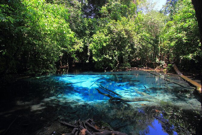 Tiger Cave Temple, Emerald Pool & Hot Springs Tour from Krabi - Why this Krabi day trip works (even when the day is long)