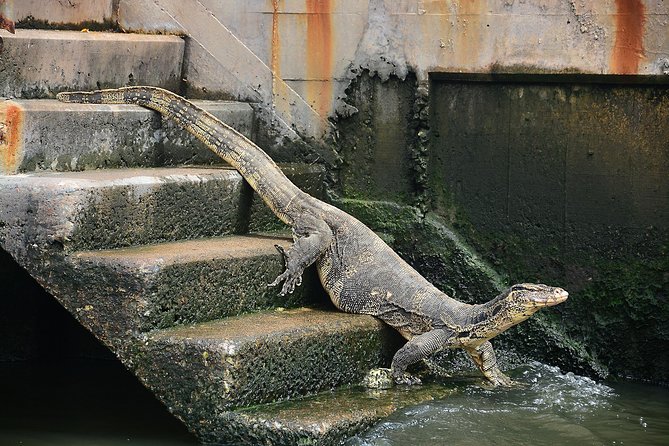 Timeless Thonburi Canal and Food Tour - Price and Value: Why This Tour Can Be Worth the $97.35