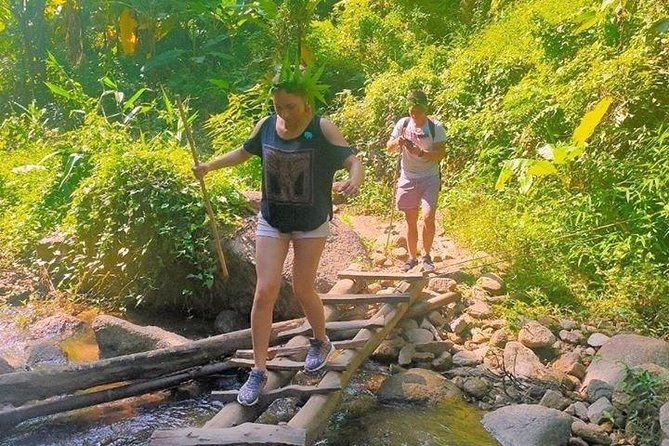 Top Pick - Full or Half Day @Elephant in Wild Sanctuary ChiangMai - Key highlights you will feel immediately
