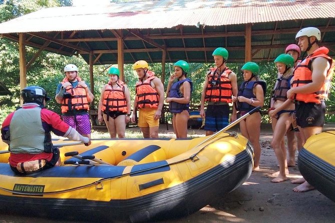 Top Pick - Full or Half Day @Elephant in Wild Sanctuary ChiangMai - Elephant sanctuary time: feeding, mud spa, and river bathing
