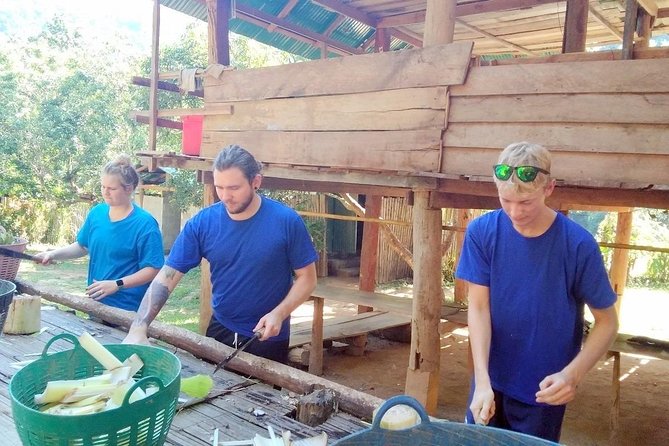 Top Pick - Full or Half Day @Elephant in Wild Sanctuary ChiangMai - White-water rafting in rainforest water