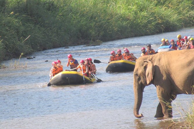 Top Pick - Full or Half Day @Elephant in Wild Sanctuary ChiangMai - Clothes, footwear, and what to pack so you do not suffer